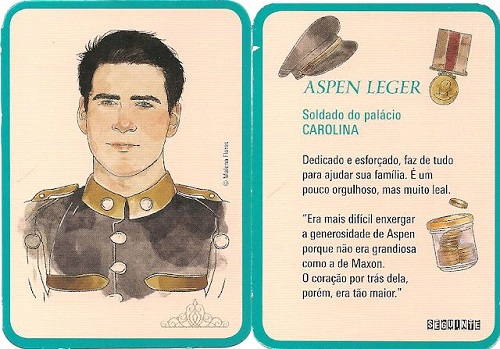 card informativo aspen